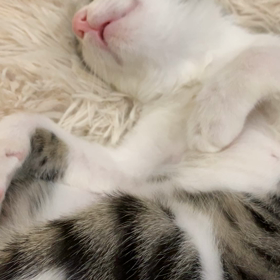 カワイイ❗️の画像