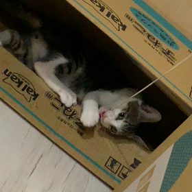 ぼちぼち・・の画像