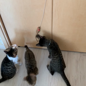 セルフでよろしくの画像