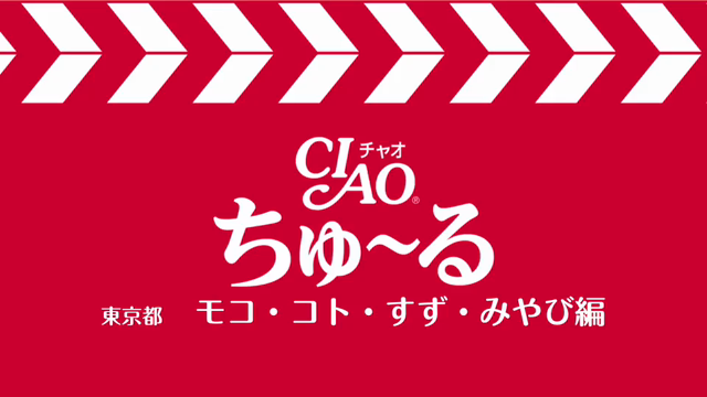 出戻りみやびのお見合いが決まりました！の記事動画