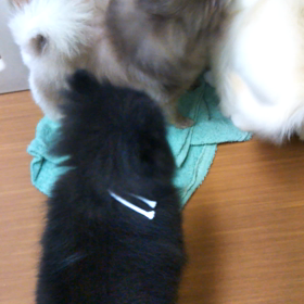 ✨出産おめでとう✨の画像