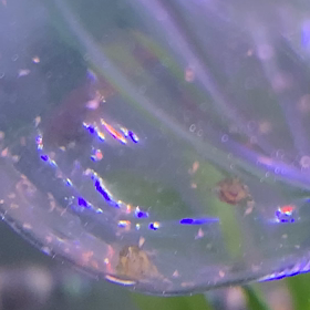 動きが機敏にの画像
