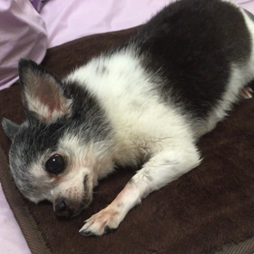 お風呂の画像