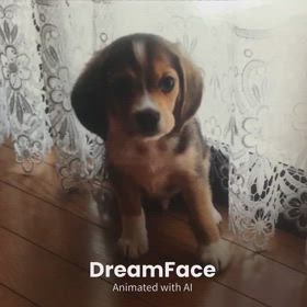 赤ちゃんのマイロでやってみた。の画像