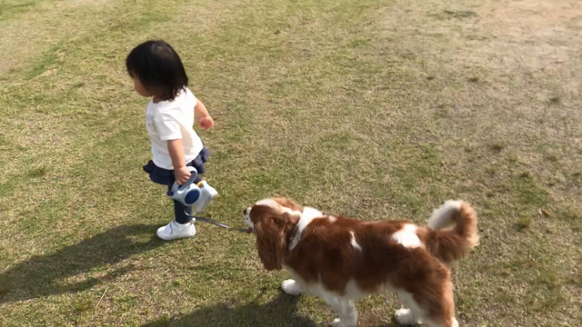 【1y5m24d】悲願の早寝の記事動画
