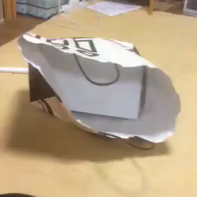 紙袋大好きの画像