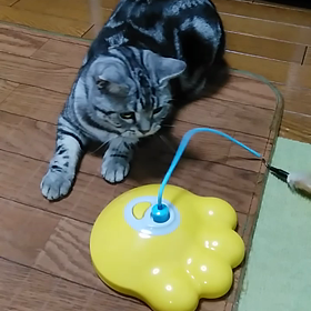 新しいおもちゃの画像