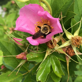 やっちゃった！の画像