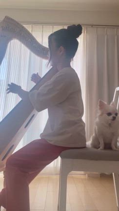 【質問】先生ってどんな練習してるの？の記事動画
