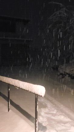 一晩で雪国です‼️の記事動画