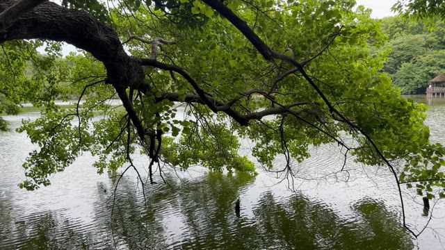 風が台風の気配の記事動画