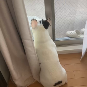 お友達の画像