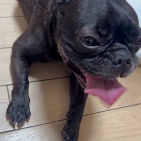 暑いわーの画像