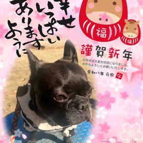 明けましておめでとうございますの画像