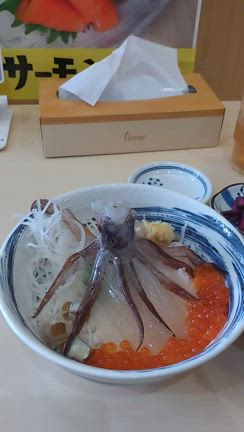 湯の川温泉の記事動画