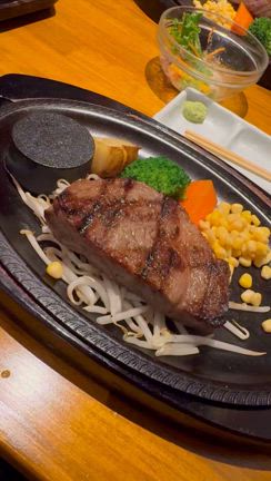 那須のステーキと足利のお蕎麦の記事動画