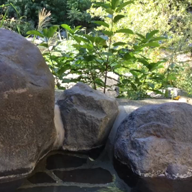 箱根の夏休みの思い出の画像