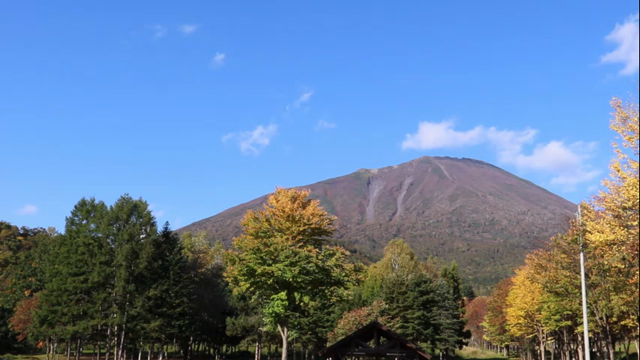 紅葉が進んでいますの記事動画