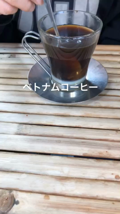 麗らかな一日の記事動画
