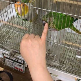 悶絶の画像