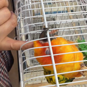 胸騒ぎの画像