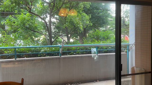 my morning routineの記事動画