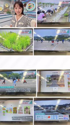 KCTニュース　6月14日日曜〜♪の記事動画