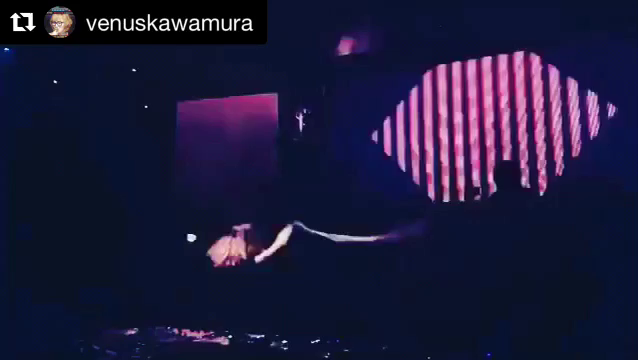 Mija様が世界中でナマコプリのSUSHI PARTYを…！！の記事動画