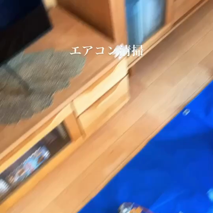 カラテカ 入江さんの記事動画