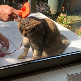 もっと、もっと！の画像
