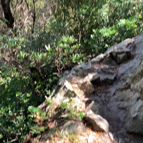 早めのお誕生日祝い①雲見浅間神社のサムネイル画像