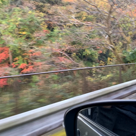 紅葉狩りの画像