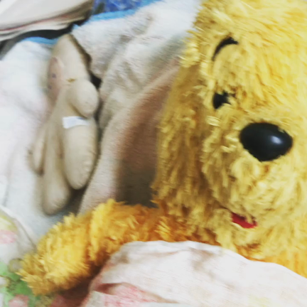 今年もこの日がやってきた。の記事動画