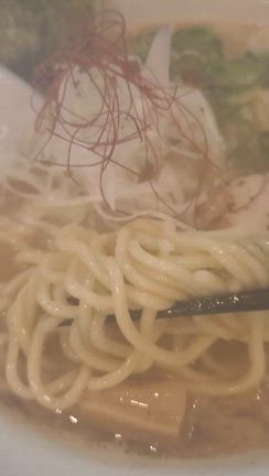 麺屋 吉佐 @ 茅ヶ崎の記事動画
