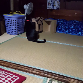 寝曜日の画像