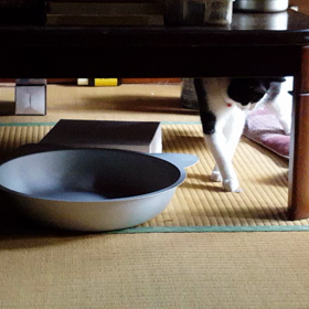一人遊びの画像