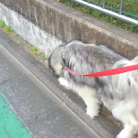 ちょっとでもの画像
