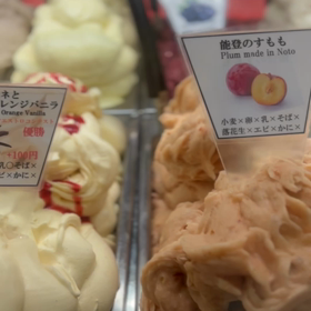 本日のマルガーラボ野々市の画像