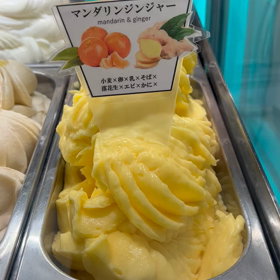 本日のマルガーラボの画像