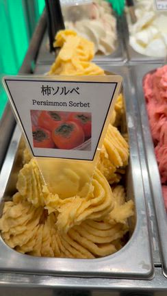 本日のマルガーラボ野々市の記事動画