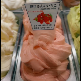 本日のマルガーラボ野々市の画像
