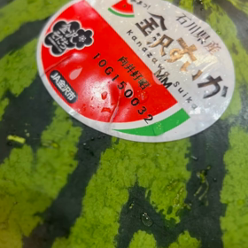 本日のマルガーラボ野々市の画像