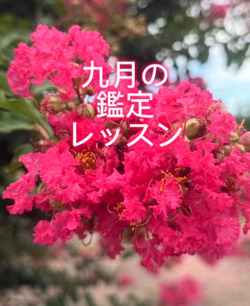 九月のご案内の記事動画