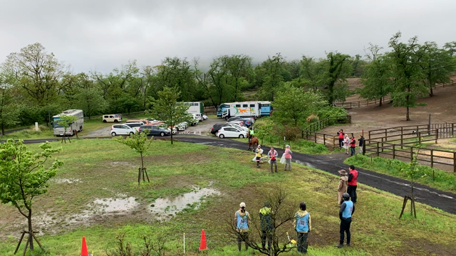 ティエラがインデュランスの60キロで優勝❣️ベストコンディション賞も！の記事動画