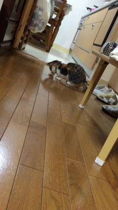 誕生日の記事動画