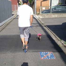 トレーニング？の画像