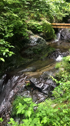 インストラクターのこんな休日！草木の匂い、水の音に癒された一日の記事動画