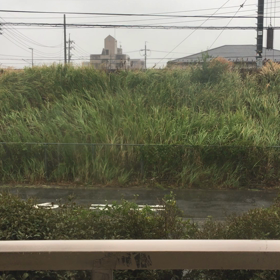 今の画像