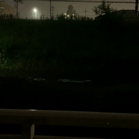 また雷雨ぅ〜の画像