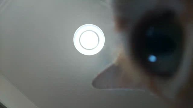 2024/05/26の記事動画